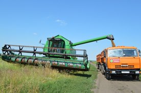 Собрано 4 миллиона тонн зерна Собрано 4 миллиона тонн зерна
