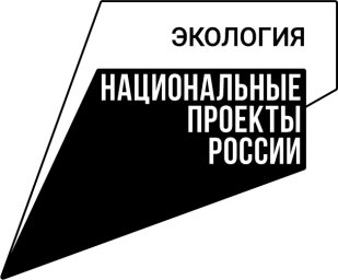 Усилена охрана хвойных насаждений Усилена охрана хвойных насаждений