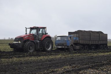 Белый сахар рождается в черноземе Белый сахар рождается в черноземе