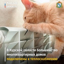 В Курской области большинство многоквартирных домов подключены к теплоснабжению В Курской области большинство многоквартирных домов подключены к теплоснабжению