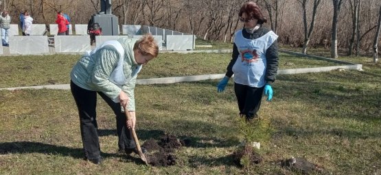 Пришла пора наводить порядок