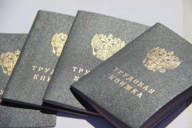 Предприниматели, трудоустраивающие участников СВО, смогут получать поддержку от государства