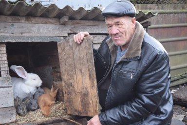 Царство пернатых рядом Царство пернатых рядом
