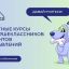 577 старшеклассников и студентов Курской области подали заявки на бесплатные курсы программирования 