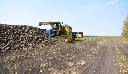 Курским аграриям напомнили о важности соблюдения карантинных норм