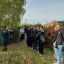 Курские студенты приняли участие во Всероссийской акции &laquo;Сохраним лес&raquo;