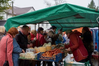 В Курске 23 сентября пройдет первая сельхозярмарка &laquo;Осень - 2023&raquo;
