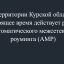Режим автоматического межсетевого роуминга (АМР).