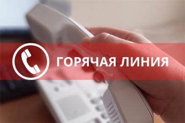 Горячая линия Горячая линия
