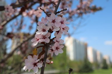 В Курской области пройдет антинаркотический месячник &laquo;Курский край - без наркотиков!&raquo;